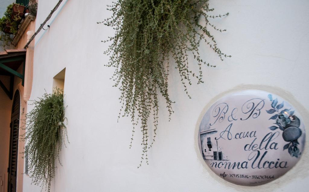 B&B A Casa Della Nonna Uccia Nardò Exteriér fotografie